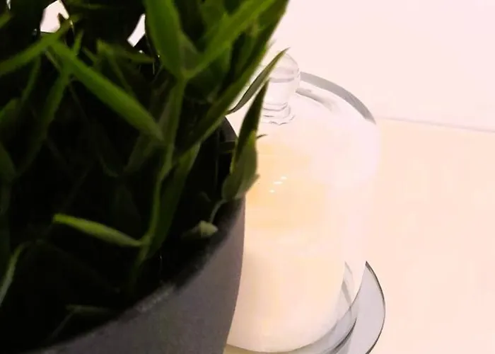 Rocha Sunny アパート *