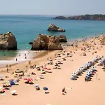 Rocha Sunny *