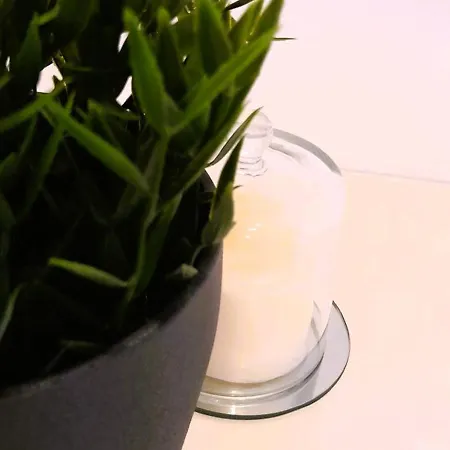 Rocha Sunny Appartement *